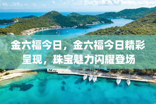 金六福今日，金六福今日精彩呈现，珠宝魅力闪耀登场