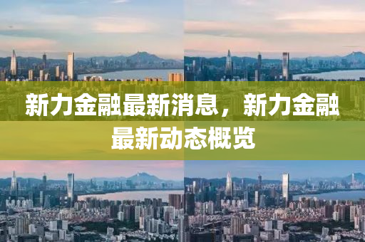 新力金融最新消息，新力金融最新动态概览