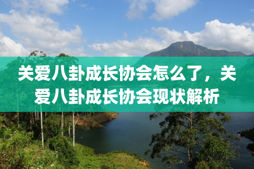 关爱八卦成长协会怎么了，关爱八卦成长协会现状解析