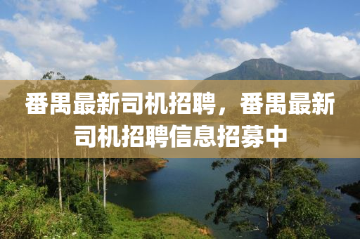 番禺最新司机招聘，番禺最新司机招聘信息招募中