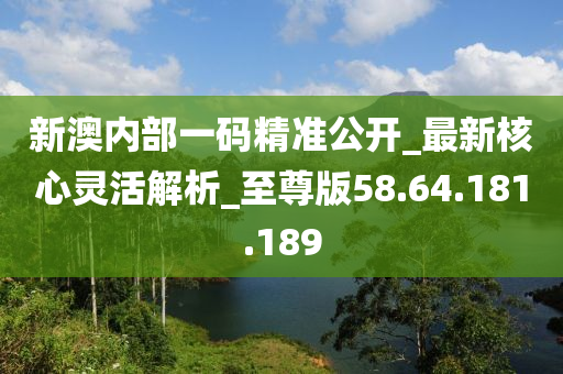 新澳内部一码精准公开_最新核心灵活解析_至尊版58.64.181.189