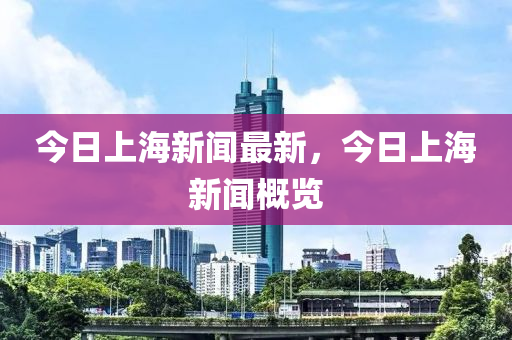 今日上海新闻最新，今日上海新闻概览