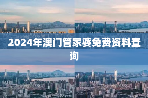 2024年澳门管家婆免费资料查询