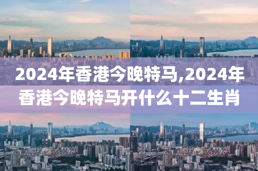 2024年香港今晚特马