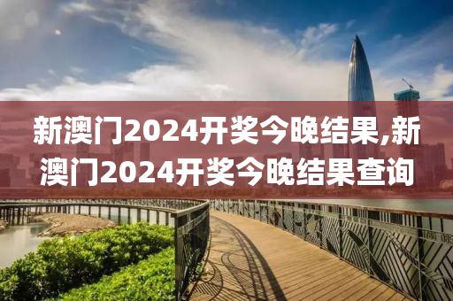 新澳门2024开奖今晚结果,新澳门2024开奖今晚结果查询