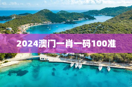 2024澳门一肖一码100准