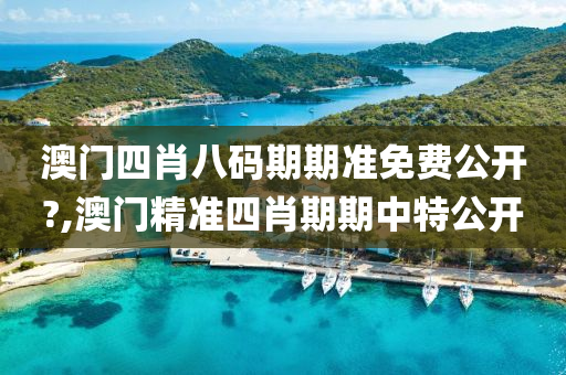 澳门四肖八码期期准免费公开?,澳门精准四肖期期中特公开