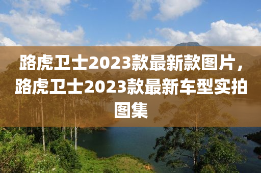 路虎卫士2023款最新款图片，路虎卫士2023款最新车型实拍图集